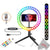 Two Zoom iQ6 Stereo X/Y Microphone for iOS Devices with Lightning Connector for iPhone iPad +  Two  Vivitar Vlog Essentials 10 Inch Full Color RGB LED Ring Light 360° Rotation + Music Maker Mix and Master Suite