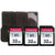 3x Transcend 32GB SDXC/SDHC 300S Memory Card TS32GSDC300S with Memory Card Holder